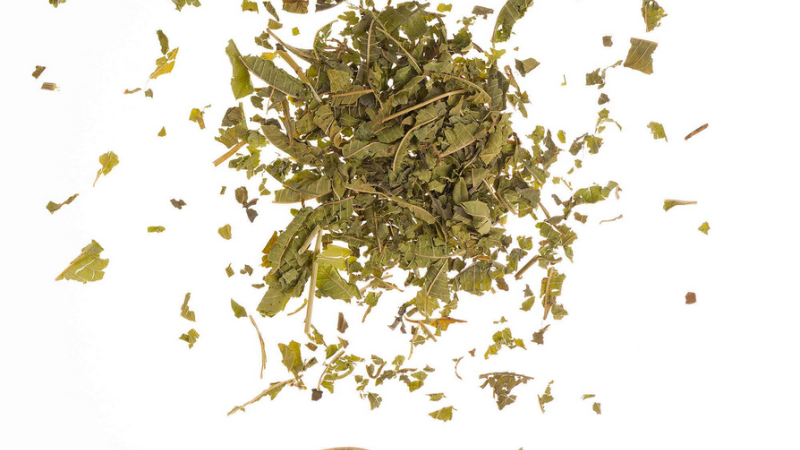 Eisenkraut geschnitten